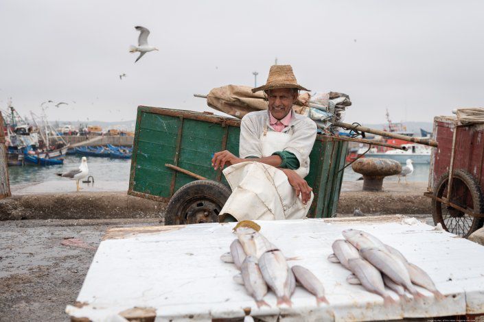 Fish seller in Essaouira port - Essaouira reportage