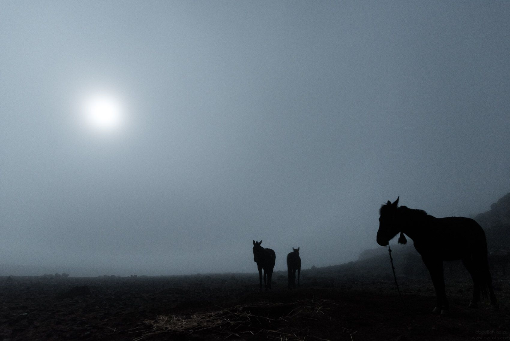 Transhumance, Ait Atta nomads, Morocco